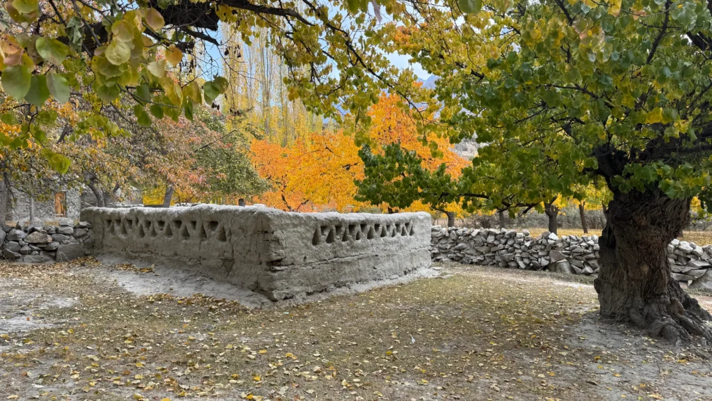 Traditional mud-brick architecture in Astore Valley Gilgit Baltistan village with autumn foliage during trekking season