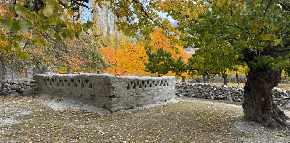 Traditional mud-brick architecture in Astore Valley Gilgit Baltistan village with autumn foliage during trekking season