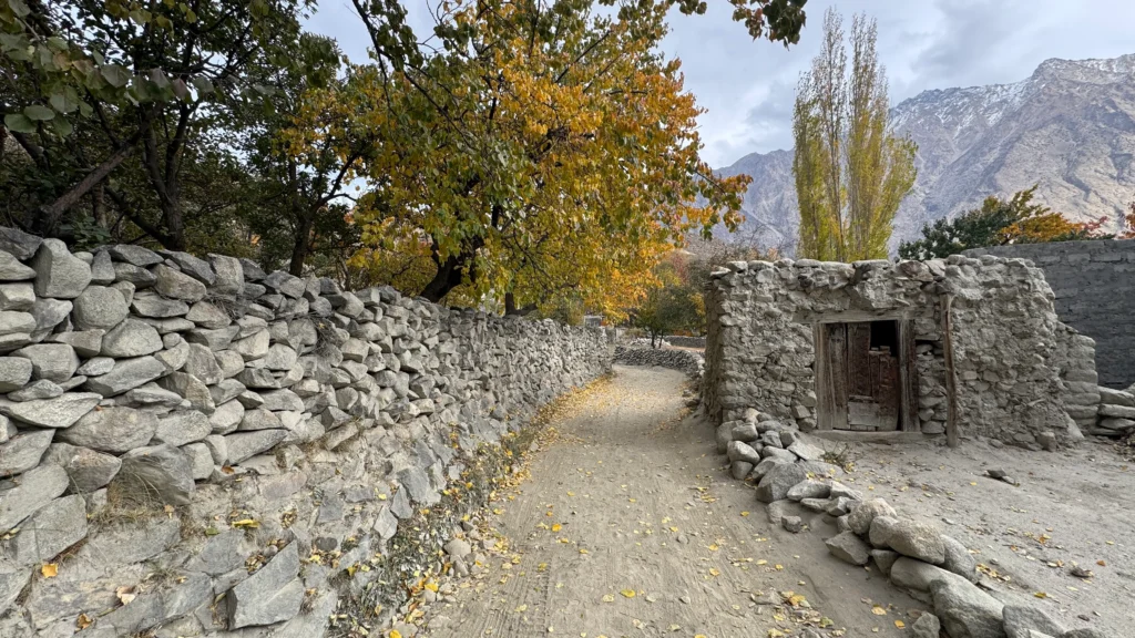 Traditional stone houses and autumn trees in Khaplu village along Thallay La Pass trekking route Gilgit-Baltistan