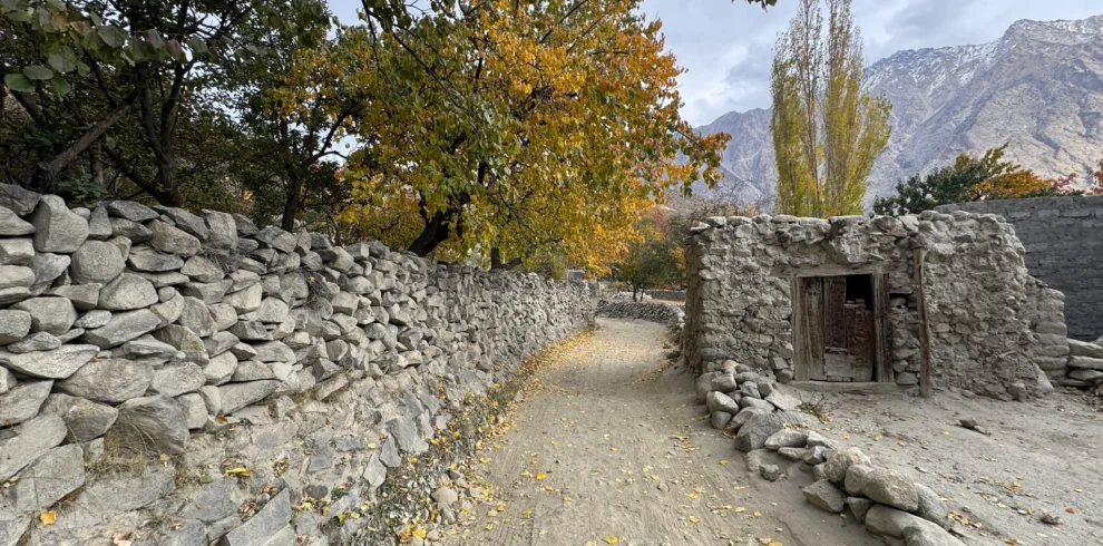Traditional stone houses and autumn trees in Khaplu village along Thallay La Pass trekking route Gilgit-Baltistan