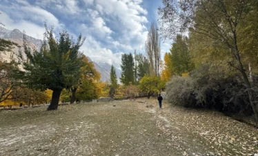 Autumn walking trail through golden poplar trees in Upper Ghizer Valley during Phander luxury expedition Pakistan
