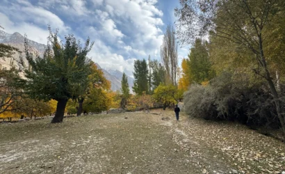 Autumn walking trail through golden poplar trees in Upper Ghizer Valley during Phander luxury expedition Pakistan